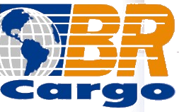 BR Cargo Log&iacute;stica